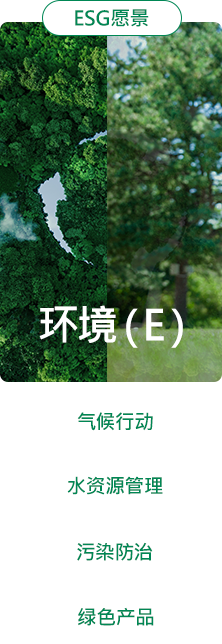 ESG战略与治理